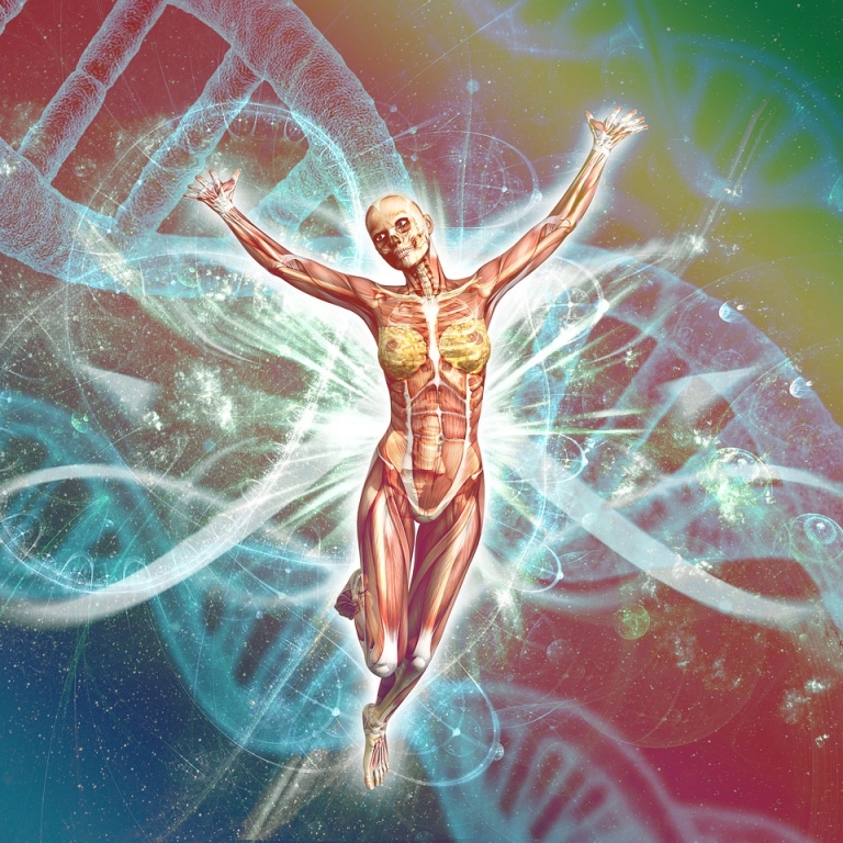 Theta Healing ADN avanzado Online