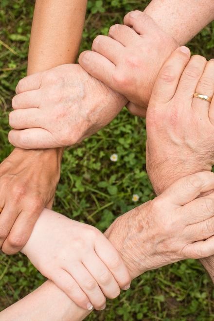 Theta Healing. Lazos Familiares Online